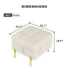TUYOHW 22 Inches Anti-scratch Leather Storage Ottoman, Pet Friendly Entryway Bench with Golden Stainless Steel Legs, Beige