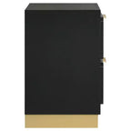 Coaster,Caraway 2-drawer Nightstand Black