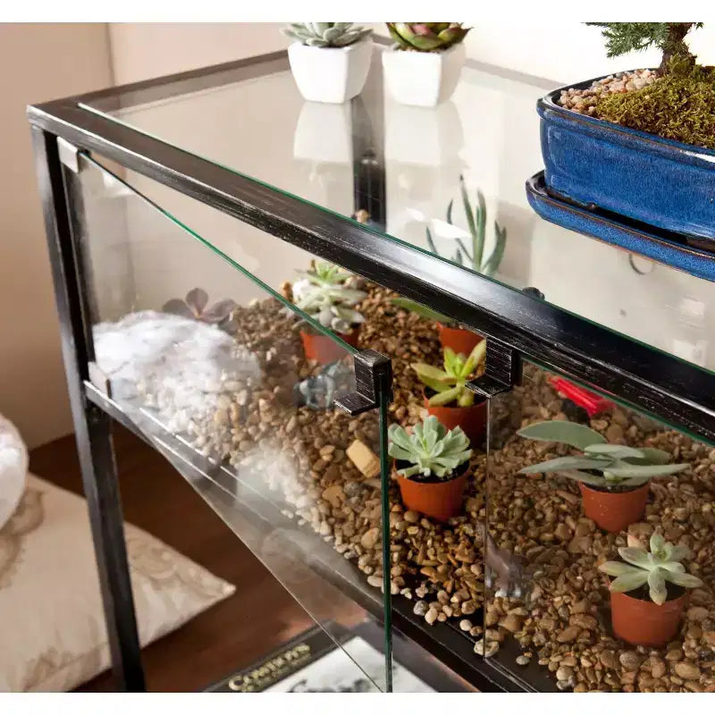 Vetrinetta a terrario - Nera - SEI