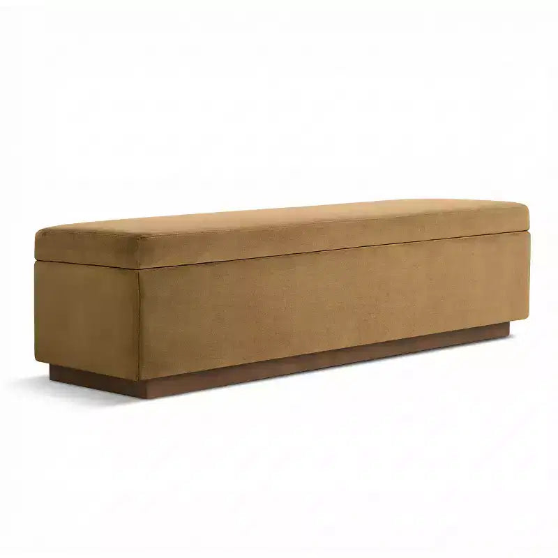 60 Moderno Velluto Panche Contenitore Imbottite, Elegante Seduta da Salotto con Contenitore Nascosto, Panchina da Fondo Letto e Ingresso-Panipeachy