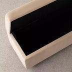60 Moderno Velluto Panche Contenitore Imbottite, Elegante Seduta da Salotto con Contenitore Nascosto, Panchina da Fondo Letto e Ingresso-Panipeachy