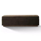 60 Moderno Velluto Panche Contenitore Imbottite, Elegante Seduta da Salotto con Contenitore Nascosto, Panchina da Fondo Letto e Ingresso-Panipeachy