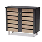 Gisela 2 - Door Shoe Storage Cabinet Dark Gray - Baxton Studio: Freestanding MDF & Plastic, Holds 9 Pairs