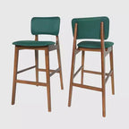 Set of 2 Fessenden Barstools - Christopher Knight Home